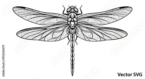 Detailed Black and White Dragonfly Illustration, Vector Art