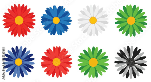 Eight Colorful Daisy Flowers on White Background, Variety of Colors