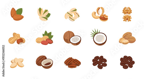 Nutritious variety of nuts and seeds including almonds, pistachios, cashews, walnuts, peanuts, coconut, pecans, and coffee beans.