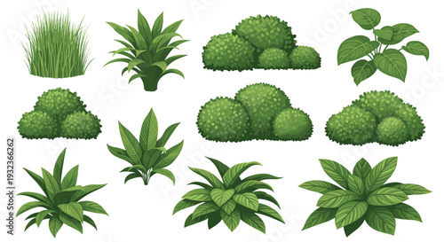 Diverse collection of green bushes, shrubs, and ornamental plants in various organic shapes and leaf textures for landscaping and backgrounds.