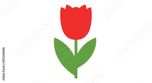 A single red tulip flower with green stem and leaves simple graphic design
