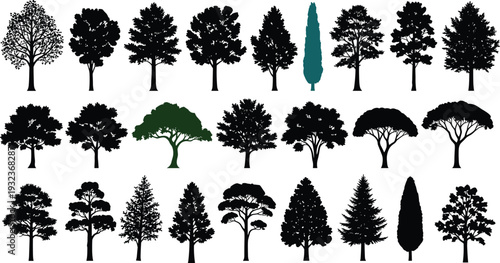 Vector collection of diverse tree silhouettes including deciduous, evergreen, and coniferous species for architectural visualization, landscape design, 