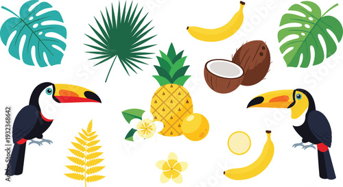 Tropical Illustration Set with Toucan Birds, Pineapple, Coconut, Bananas, Monstera Leaves, and Exotic Flowers for Summer Design