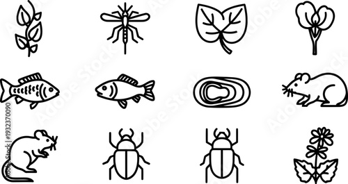 National Invasive Species Awareness Week vector icon set