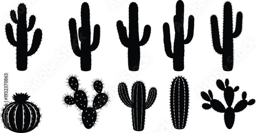 Black silhouette vector illustration of ten diverse cactus types including saguaro, barrel, prickly pear, desert plant artwork for botanical and design projects