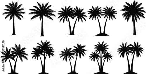 Black silhouette vector illustration of ten palm trees in diverse styles, tropical design elements for logos, decoration, summer, vacation, and beach themes