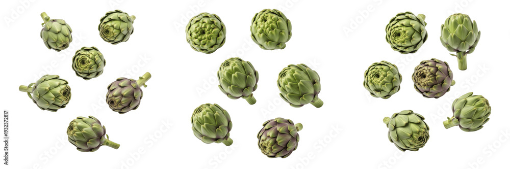 Fototapeta premium Fresh Organic Baby Artichokes Isolated on a Pure White Background Collection Set of Three