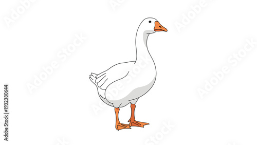 Clean illustration of a white domestic goose standing with its head turned to the side against a solid white background.