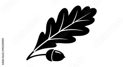 Illustration of an oak leaf with acorn on a branch, viewed from the side, in a simple style