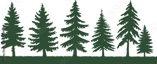 Pine trees silhouettes collection on grass horizon, coniferous evergreen forest landscape for nature and outdoor design