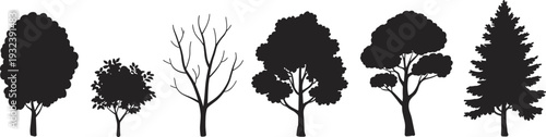 Various trees silhouettes collection set, deciduous and coniferous pine trees, nature forest and garden landscape elements
