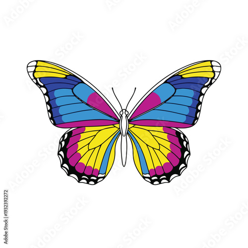 A symmetrical insect with wings of yellow, blue, and magenta