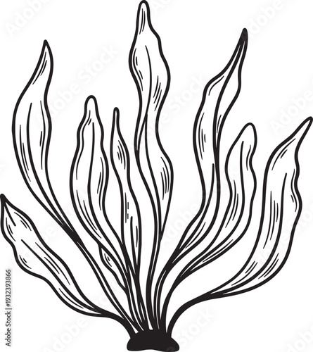 Hand Drawn Seaweed Silhouette Vector Illustration, Underwater Marine Plant Botanical Sketch Design
