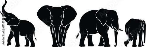 Elephant Silhouette Collection Set, African Wildlife Animal Illustration, Black Vector Isolated Background