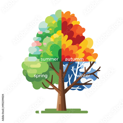 A tree illustration with the four seasons displayed in vivid color