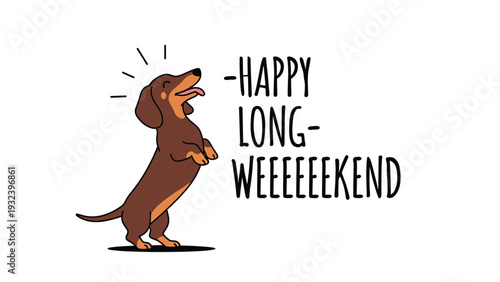 Tired dachshund dog stretched out and sleeping to represent the relaxation of a happy long weekend holiday break.