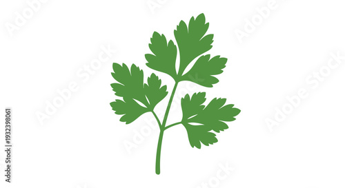 A vibrant illustration of a fresh parsley sprig against a white background