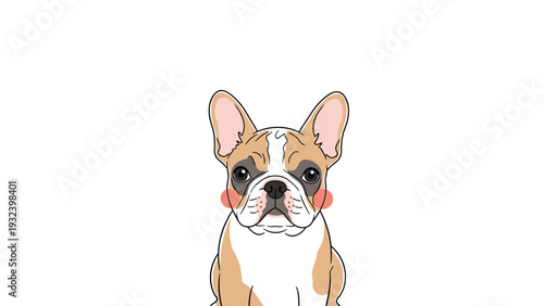 Portrait of a cute french bulldog with tan and white fur and rosy cheeks looking directly at the camera with a calm and friendly facial expression.