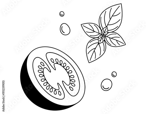 Hand Drawn Illustration of Sliced Tomato and Basil Leaves, Vector Line Art Sketch of Fresh Vegetable and Herb, Minimalist Food Design Element Isolated on White Background