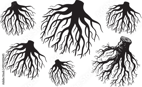 Tree roots silhouette collection organic nature elements bundle for landscape and forestry design