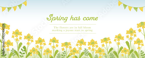 青空広がる春の菜の花畑_黄色い花の背景_新生活向け横長フレーム