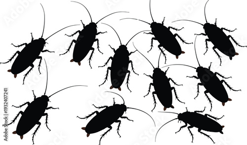 Cockroach silhouette collection isolated on white background, black insect pest set with detailed legs and antennae for infestation, hygiene and extermination concept design