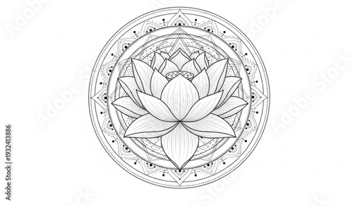 Beautiful Lotus Mandala Tattoo Vector Symbol of Spiritual Awakening and Rising Above Material World