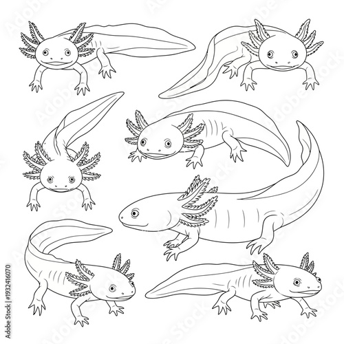 Axolotl Character Set Hand Drawn Cute Salamander in Multiple Poses Line Art.