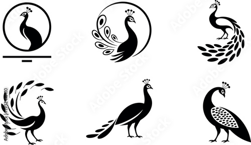 Peacock bird silhouette logo collection, elegant peafowl vector illustration set with decorative feathers isolated on light background for nature branding, wildlife design and icon