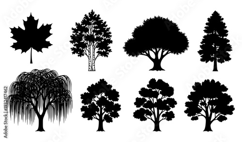 Woodland Tree Silhouette Collection Black Forest Nature Vector Printable Poster Isolated on White