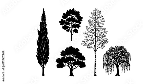 Minimalist Forest Tree Silhouettes Vector Maple Birch Elm Poplar Willow Black Isolated Design