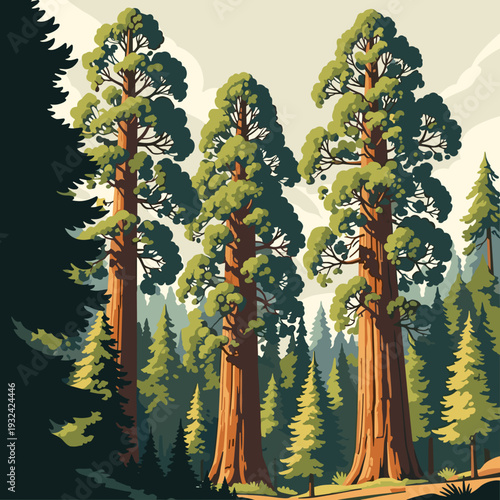 Detailed Illustration of Giant Sequoia Trees in Sunlit Forest