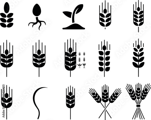 Wheat and grain agriculture silhouette icon collection, crop plant growth stages vector illustration set isolated on light background for farming, harvest and organic food design