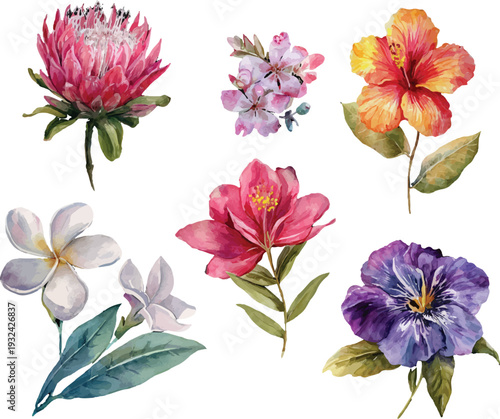 collection of flowers