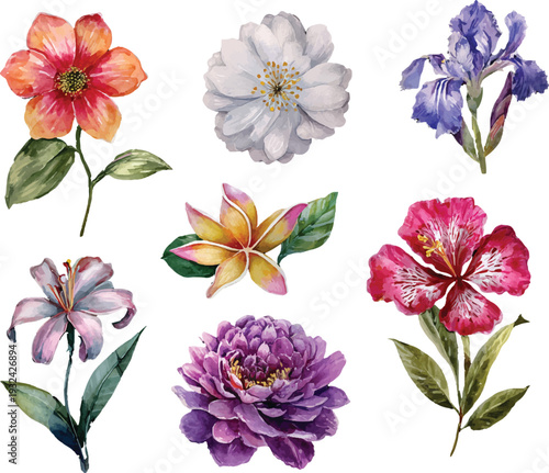 collection of flowers