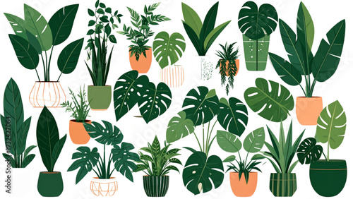 Indoor potted house plants collection, decorative greenery set, modern botanical design elements, tropical leaf illustration, cad drawing flat vector illustration