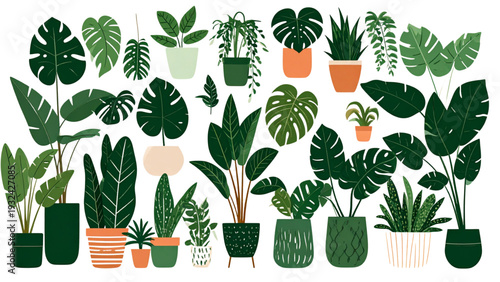 Indoor potted house plants collection, decorative greenery set, modern botanical design elements, tropical leaf illustration, cad drawing flat vector illustration