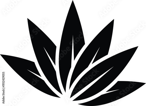 A large black leaf with pointed tips and white spaces between leaf segments isolated on transparent background