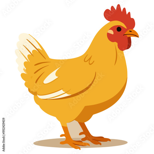 Brown Laying Hen in Poultry Farm Environment