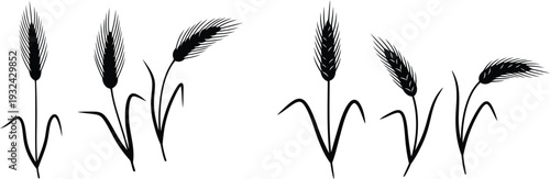 black silhouette illustrations of wheat or barley plants on white background