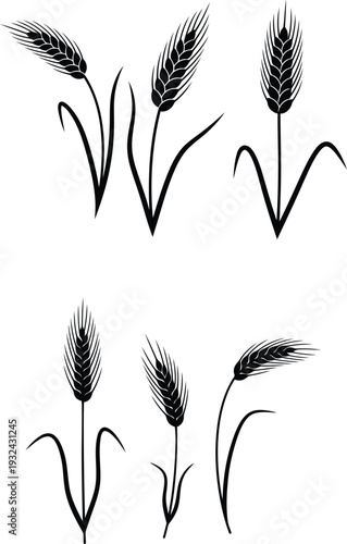 set of wheat ears in solid black silhouette on white background