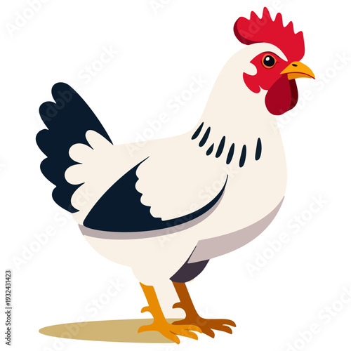 Broiler Chicken Flat Design Vector Illustration