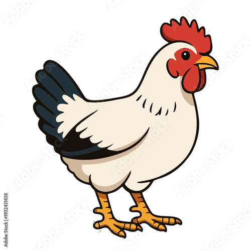 Broiler Chicken Flat Design Vector Illustration