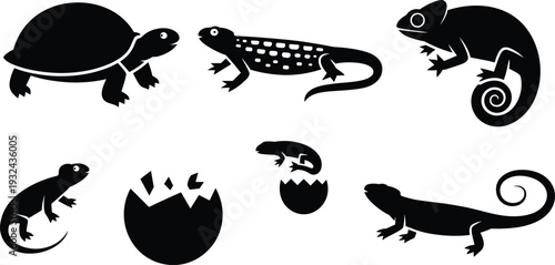 Reptile and Amphibian Silhouette Vector Collection, Turtle Lizard Salamander Gecko Icons Set for Wildlife Education Logo Design Branding Tattoo Art