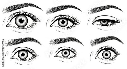 Detailed illustration of various human eye shapes and eyebrow styles for artistic reference.