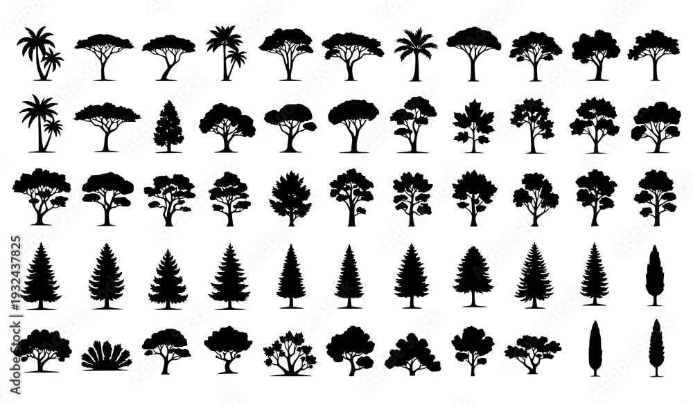 Fototapeta premium Big Set of Tree Silhouettes from Different Natural Zones Black Vector Illustration Collection Isolated on White Background