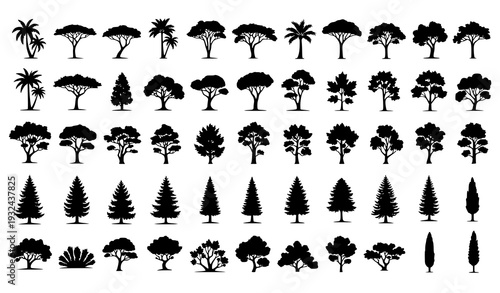 Big Set of Tree Silhouettes from Different Natural Zones Black Vector Illustration Collection Isolated on White Background