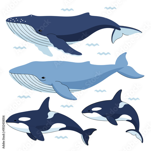 Top down view of a whale pod migrating through icebergs