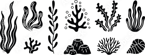 Black and white of various types of seaweed and coral underwater plants