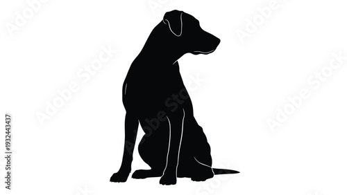 A black silhouette of a seated dog facing towards the left side of the frame